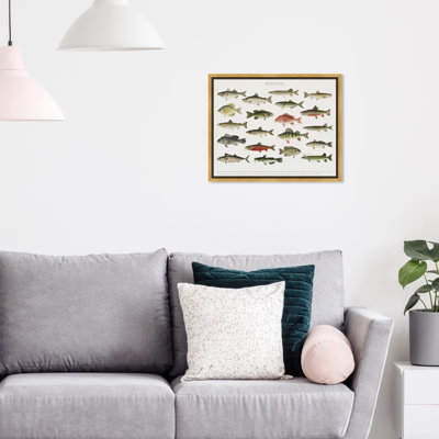 " American Fish " Painting Print