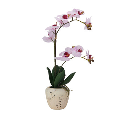 Mikasa 22 in. Realistic Artificial Orchid with Decorative Pot