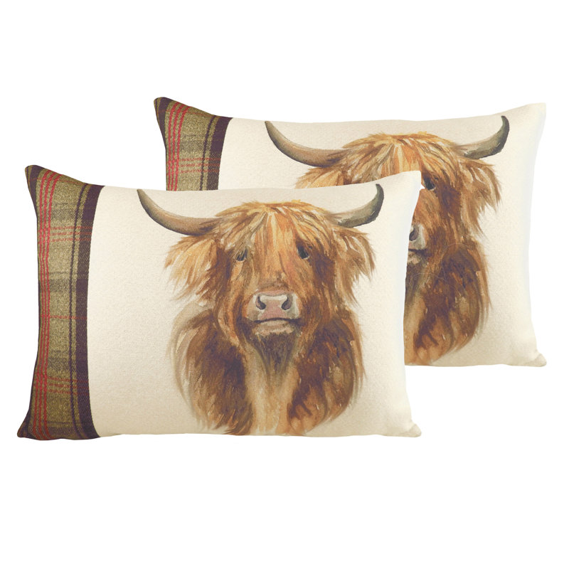 Throw Cushion, Multicolour