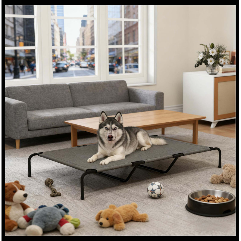 Pet Bed,Elevated Dog Bed, Black/Gray