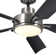 54'' Ceiling Fan with LED Lights