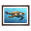 Swimming Sea Turtle in Abstract - Framed Print-55728531-55728536