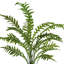 Ridgewood Faux Fern Plant in Fiberstone Planter