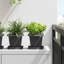  Square Flower Pot 6 Pcs Plastic-354333277-354333276