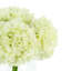 Hydrangea Bouquet-1894723889