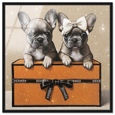 Frenchies on a Box