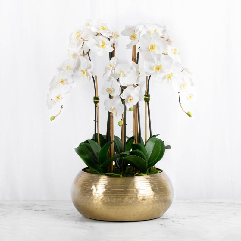 Large Orchid Floral Arrangement in Vase