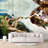 Creation of Adam Wall Mural-70591862