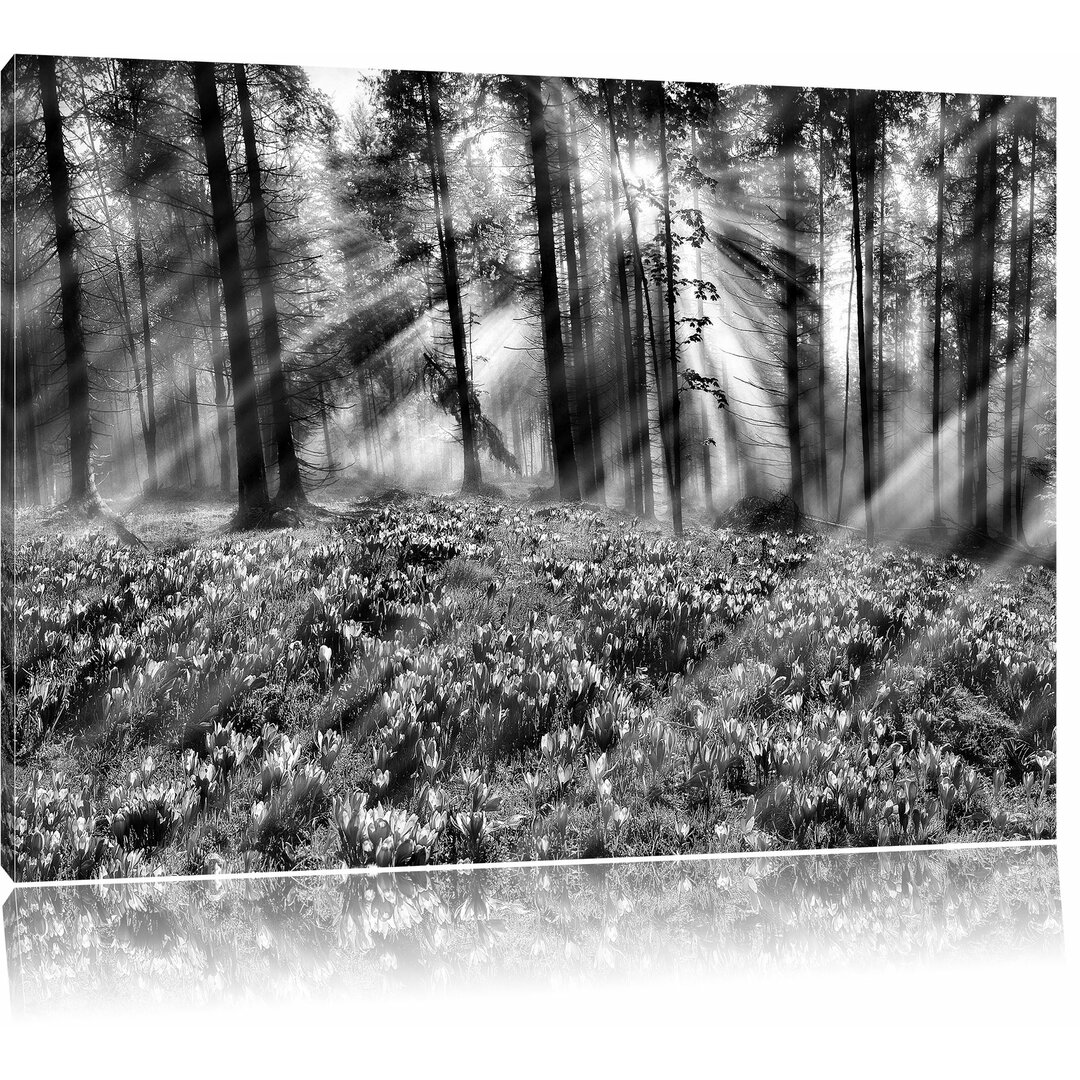 Leinwandbild Lavendel im Wald in Monochrom