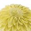 Housse et insert décoratif décoratif 3D Floral-788575738-788203910