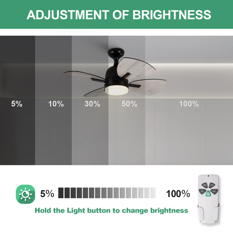 Ventilateur de plafond avec lumières, télécommande, 32 pouces, noir (4 pales), lumière DEL à intensité variable
