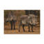 Wall Art on Canvas-2111545002