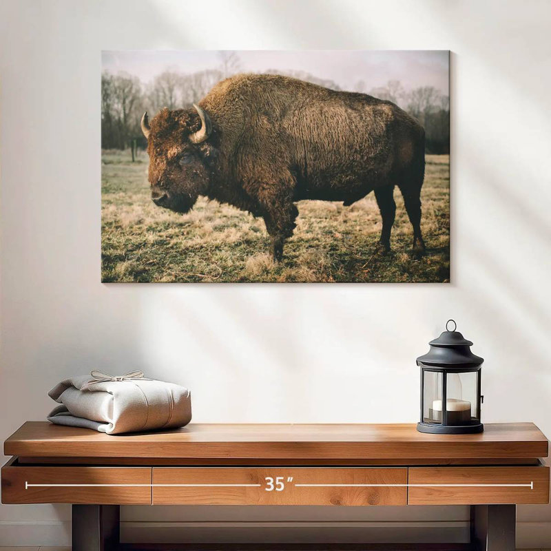 Solitary Bison IV, 16" H x 24" W