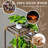 Wood Plant Stand