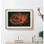 Orange Rose - Picture Frame Graphic Art Print-56861794-56861796