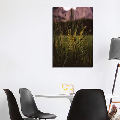 " Yosemite Valley II " by Bethany Young