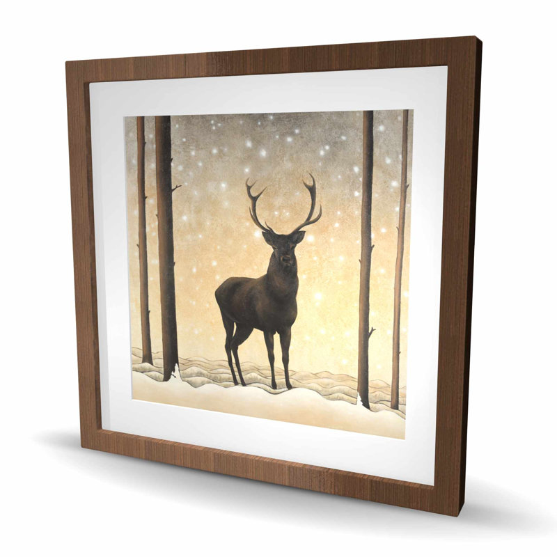 Roe Deer in Winter - Brown, Brun, H 24 po x l 24 po