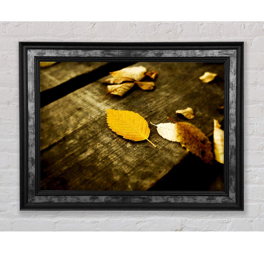 Autumn Leaves On The Deck - Einzelne Bilderrahmen Kunstdrucke