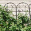 Treillis en métal pour jardin-481118236