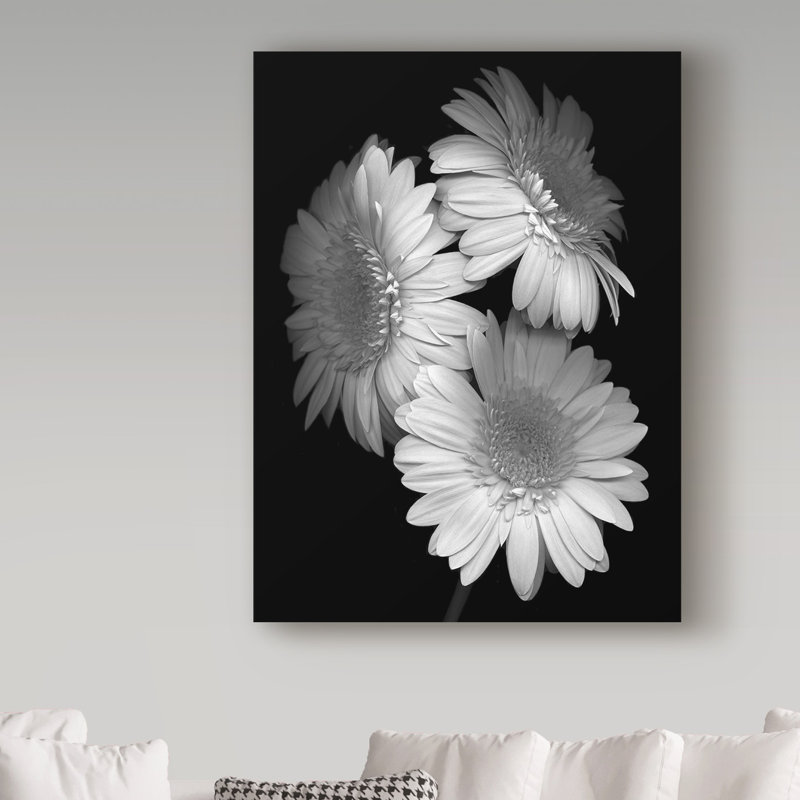 «Gerbera Daisy Black and White» par Dosta, impression sur toile tendue, H 24 po x l 18 po x P 2 po