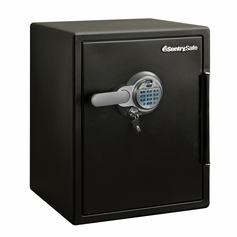 Coffre-fort ignifugé et résistant à l'eau SentrySafe de 2 pi³ avec serrure à clavier biométrique