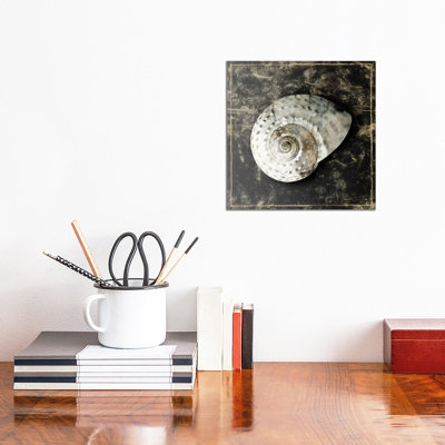 Marble Shell Series II by Edward Selkirk - Wrapped Canvas Gallery-Wrapped Canvas Giclée
