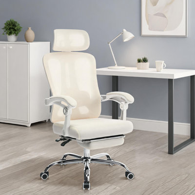 Hobbylane Office Chair