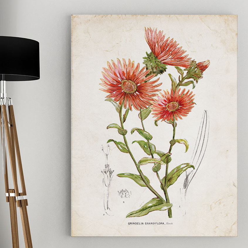 " Botanical I " by Nan August Grove® 