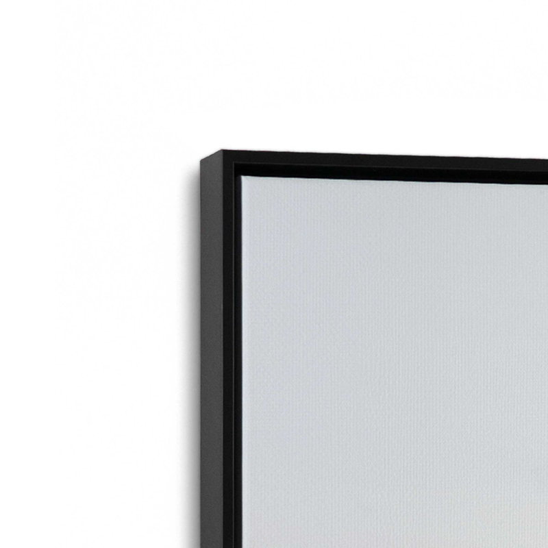 Impression sur toile Barren Beauty, Cadre flottant noir satiné, H 36,75 po x l 24,75 po x P 1,75 po