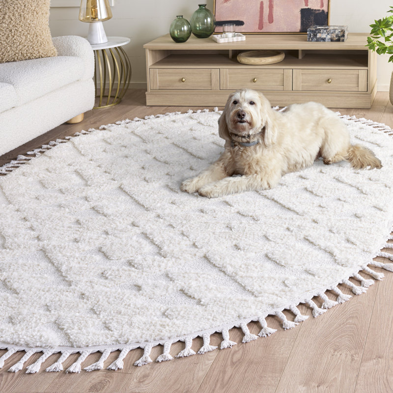Tapis à poils longs Kaitlen, Ovale 6 pi x 8 pi