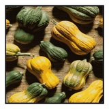 Washable Hubbard Squash Vegetables Area Rug