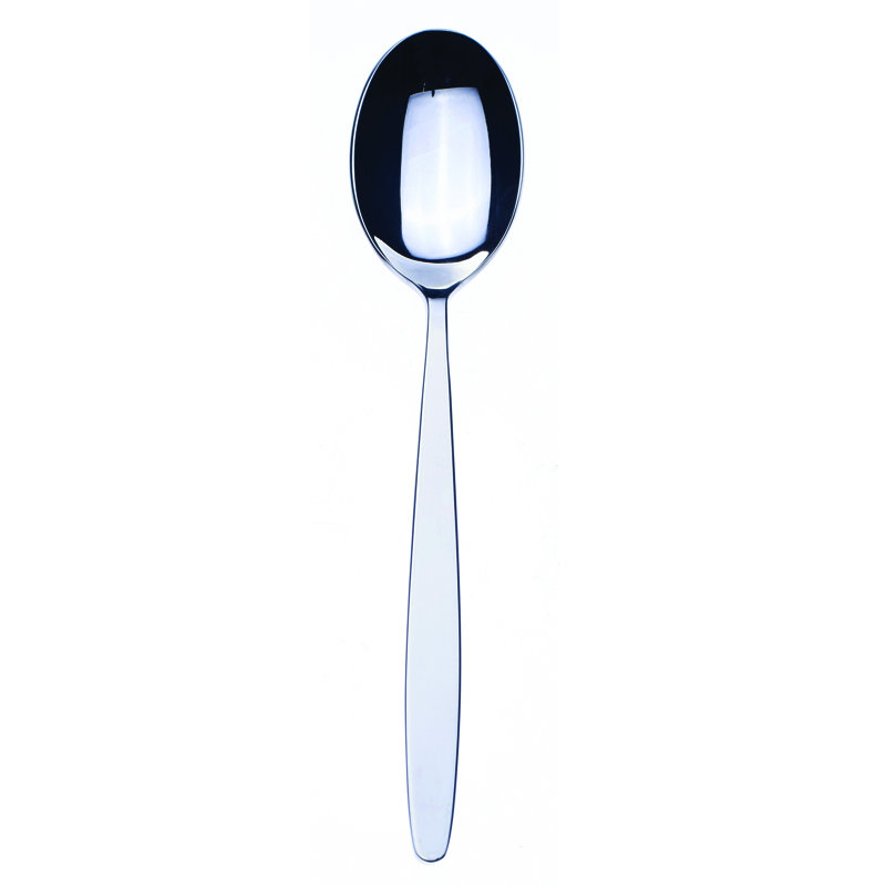 Immagina Stainless Steel Dinner Spoon