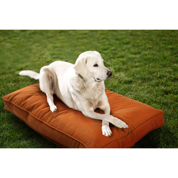 IndoorOutdoor Sunbrella Dog Bed Tucker Murphy Pet Color: Mist, Size: X-Large (54 W x 42 D x 5 H)