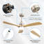 Ceiling Fan with LED Lights