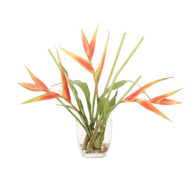 Dark Rose Heliconia in Narrow Vase