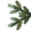 Real Touch Pre-Lit Full Blue Spruce Artificial Christmas Tree - Clear