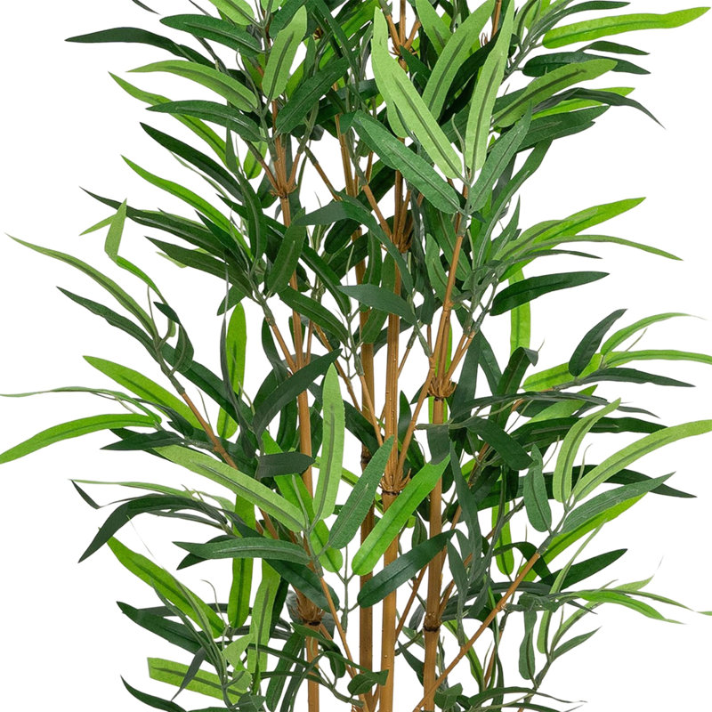 95cm Plant