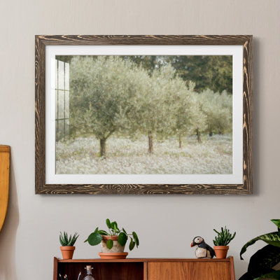 " Paintograph Olive Trees "