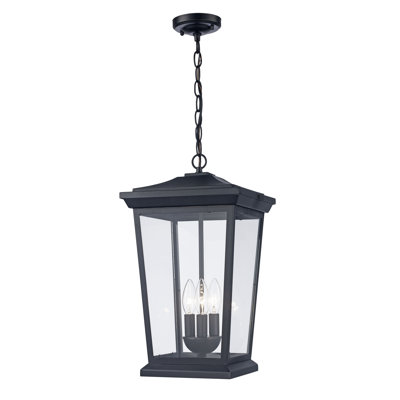Delreal Outdoor Hanging Lantern
