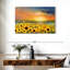 Huile de tournesol Alvord-107718216