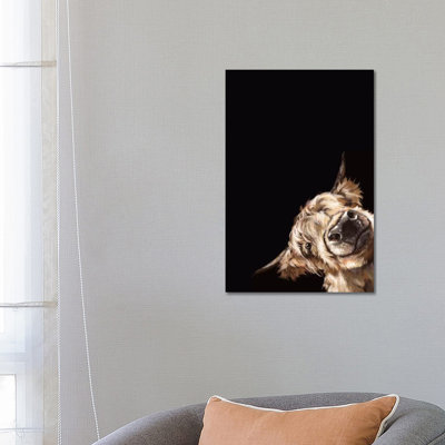 Sneaky Highland Cow in Black 1 Piece Wrapped Canvas Wall Art