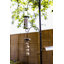Haybridge Metal Pole Feeding Station