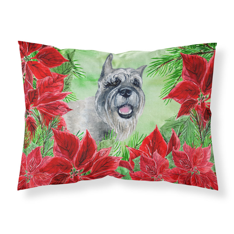 Taie d’oreiller poinsettas, Schnauzer