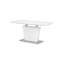 Wynnfield Extendable Dining Table-988970597