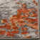 Rolling Hills Abstract Area Rug