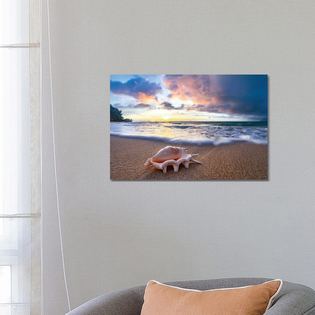 Shell Sea Drops von Sean Davey - No Frame Gallery-Wrapped Canvas Giclée on Canvas