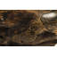 Wood Abstract Pot Planter in Black/Brown