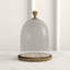 Cloche en bois et verre Zakrzewski