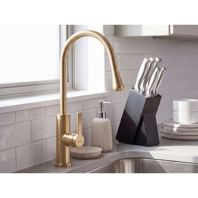 Kitchen Pull Out Tap Delanei Gold