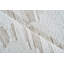 Canyon Wool Area Rug in Ivory/Beige-1472162491